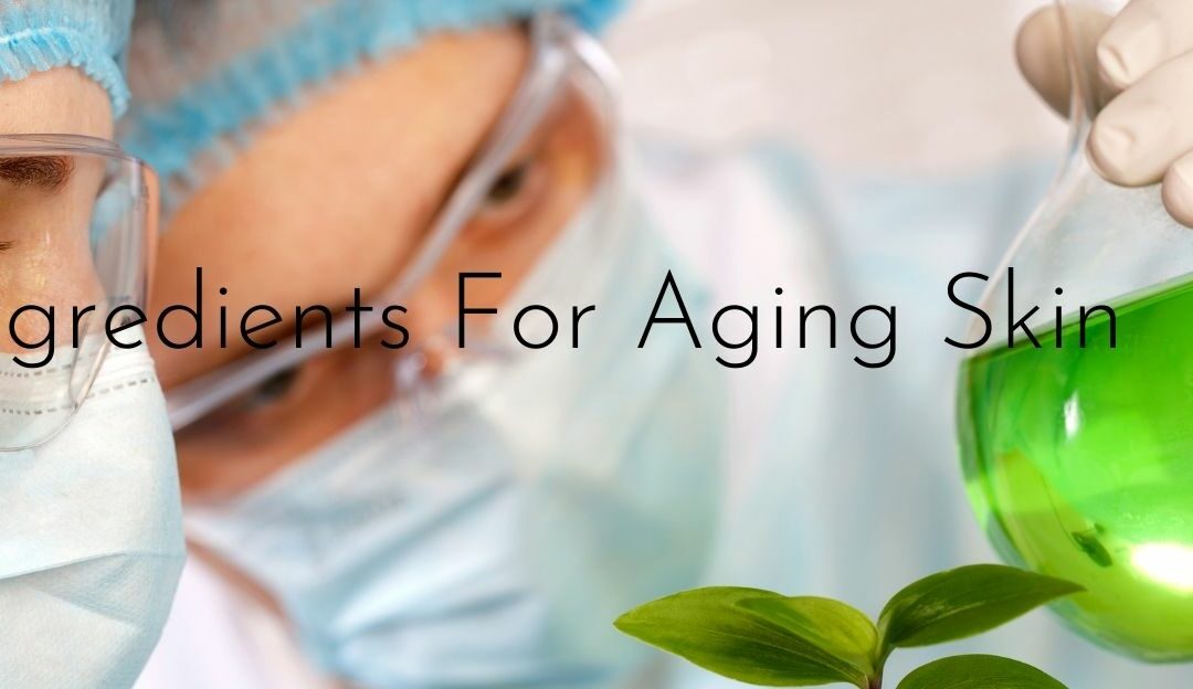 Effective Skin Care Ingredients For Aging Skin