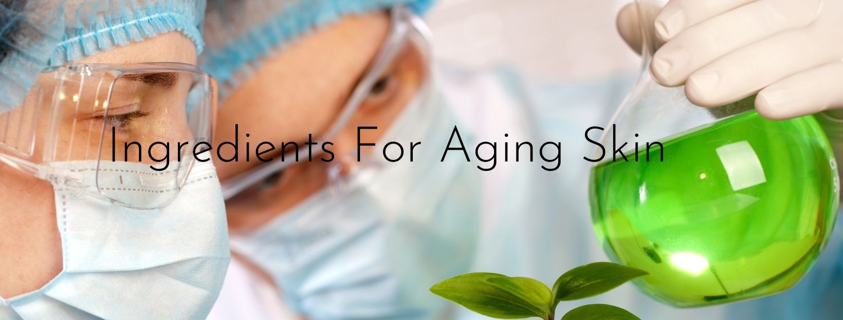 Effective Skin Care Ingredients For Aging Skin