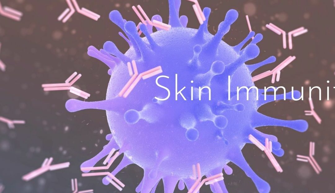 Skin’s Immunity And Automatic Repairing Mechanisms
