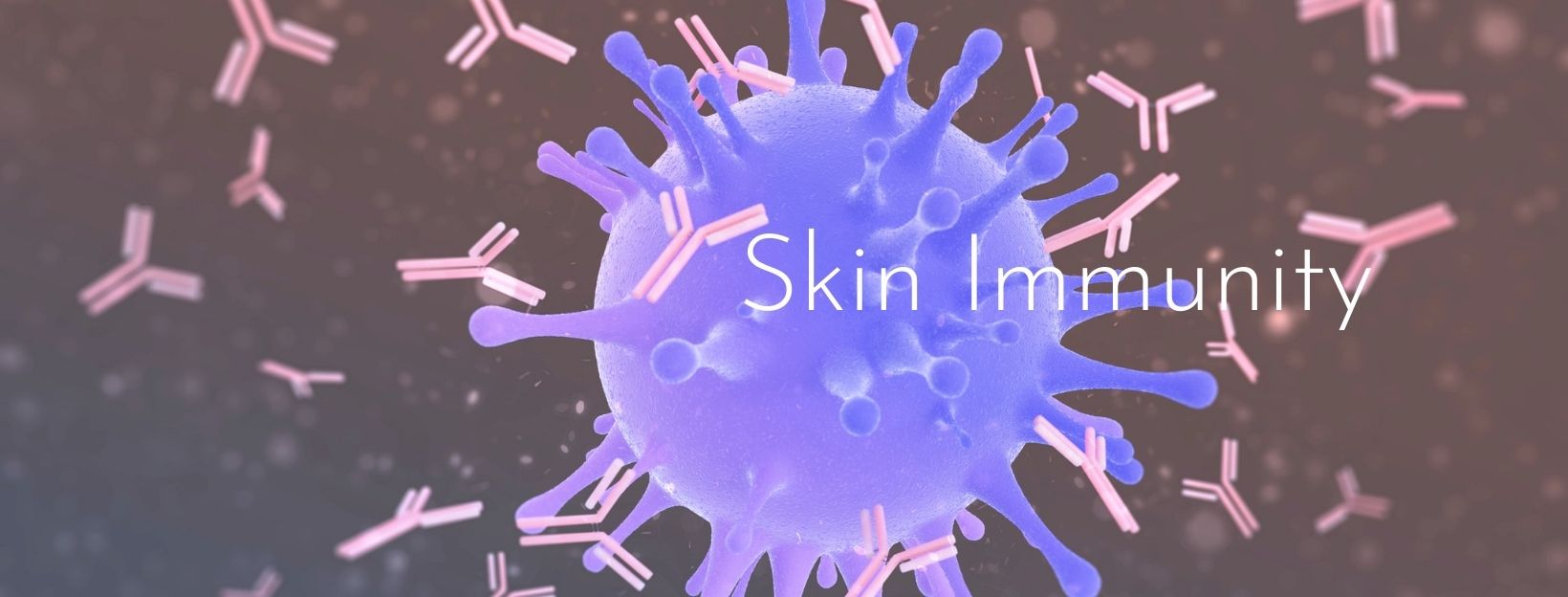 Skin Immunity