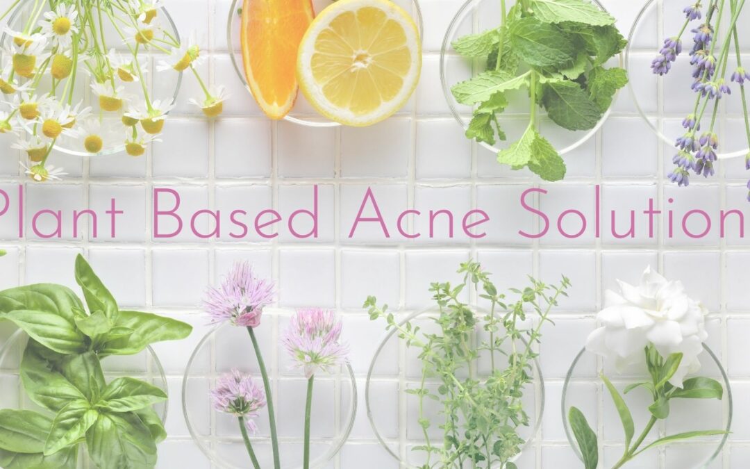 Plant Based Skin Care For Gentle + Effective Acne Solutions