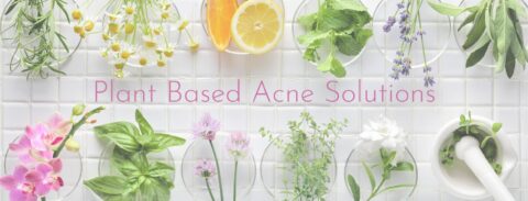 Plant Based Acne Solutions That Are Gentle + Effective