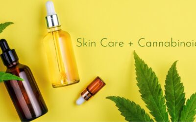 Skin Care + Cannabinoids