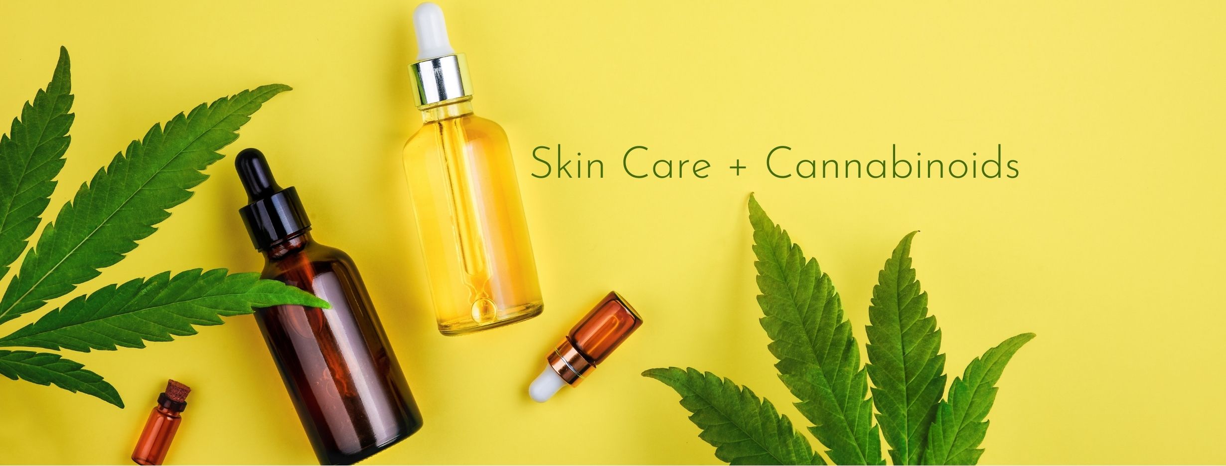 Love Lynn Botanicals Skin Care + Cannabinoids