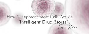 Procell Multipotent stem cell