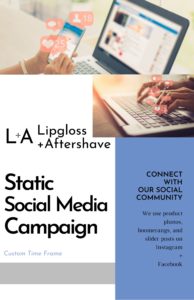 Static Social Media Campaign Sheet