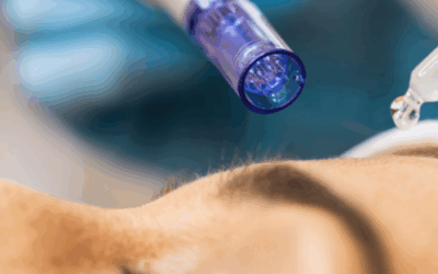 The Hale & Hush Skin Revival Using Advanced Technologies LED, Microneedling, Dermaplaning, + Nano Technology