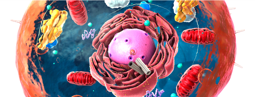 M.A.D Environmental Concern